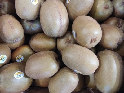 Foto Kiwi Hayward Calibro 23 Marchio Battaglio     2